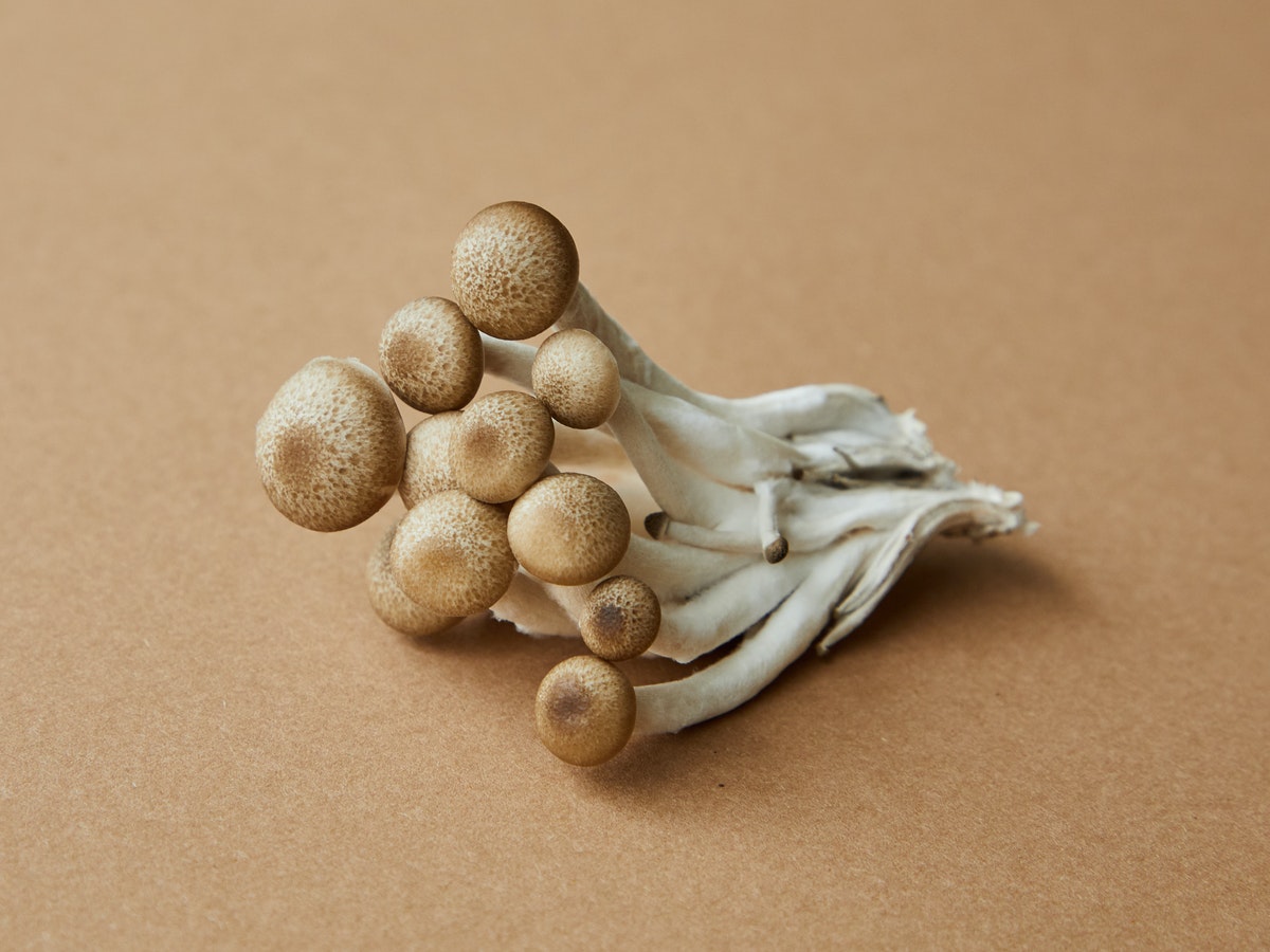 Mushroom Diet for Weight loss